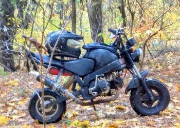 Sprzedam lub zamienię się Skyteam PBR 49cc odblokowany