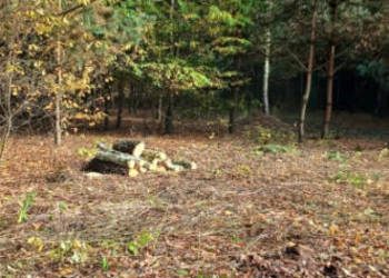 Urokliwa działka z WZ na 2 budynki !! 32zł/m2 !!