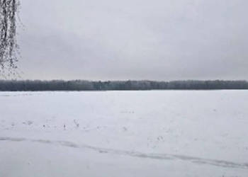 Nieruchomość gruntowa niezabudowana - Gęś