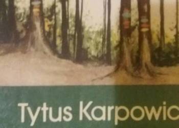 Karpowicz książki Lato po indiańsku prezenty dziecięce