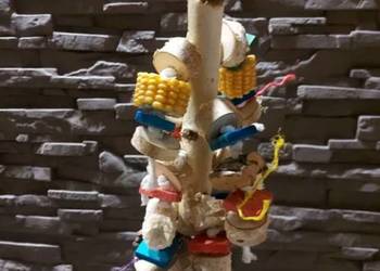 zabawka/gryzak dla papug