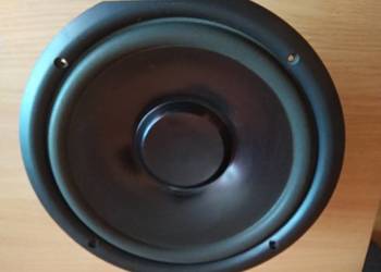 Głośnik GDN 25cm.160W.8 om.