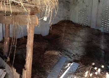 Oddam siano i słomę luzem