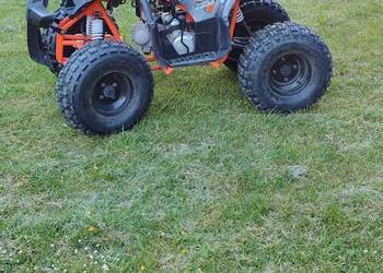 ZIPP ATA135-D (KID125) 2024 – QUAD DLA DZIECI / MŁODZIEŻY – POMARAŃCZO