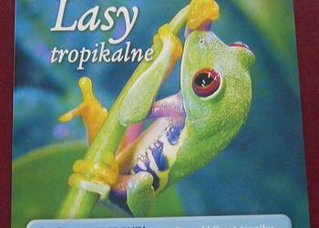 VCD LASY TROPIKALNE POCZUJ KLIMAT TROPIKU