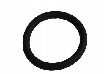 Oring wtryskiwacza IVECO 4890926