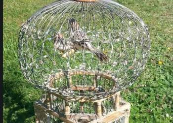 Unikalna, zabytkowa klatka dla ptaków w stylu wiktoriańskim / rustykalnym