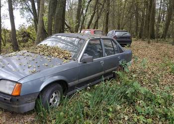 Opel rekord klasyk na części