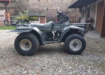 Suzuki  LT-F 250 4WD