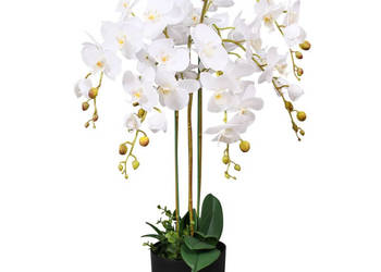 Sztuczny storczyk z doniczką 75 cm biały WM-244425