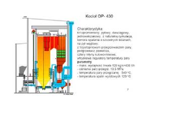 Współspalanie biomasy w bloku elektrowni-projekt