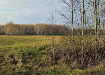 Działka bud. 2600M2, Nowa Wola - gm. Jedlińsk