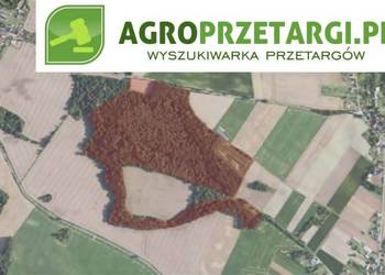 Dzierżawa 8,68 ha gruntu rolnego
