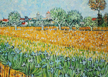 Obraz do gabinetu Widok na Arles Vincent van Gogh