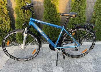 Pegasus Piazza 28 Rower Męski