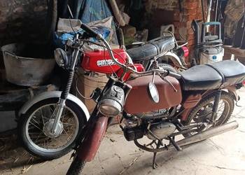 Jawa mustang