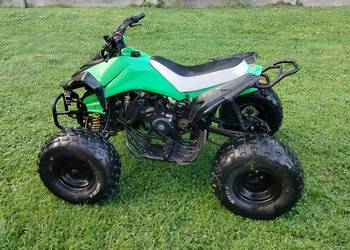 Quad 125 nie bashan