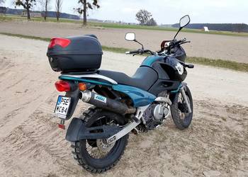 Suzuki xf650 zamiana
