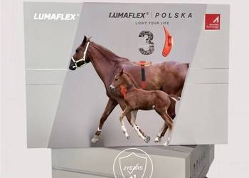 Lumaflex Essential DUO  Zestaw do fotobiomodulacji dla koni i ludzi Mobilny
