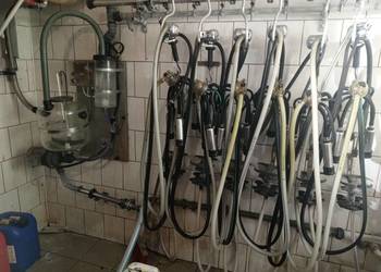 Dojarka przewodowa Westfalia 6 aparatów pompa RPS 1200 myjnia circomat