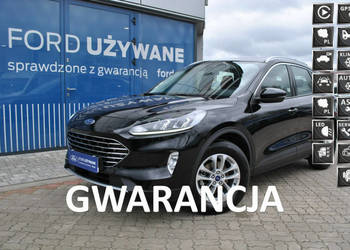 Ford Kuga Titanium 1,5 EcoBoost 150KM M6 Gwarancja, ASO Forda III (2019-)