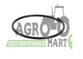 5175981 PIERŚCIEŃ SPRĘŻYSTY OSADCZY CNH