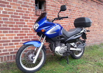 Suzuki XF 650 Freewind NA  KAT A 2