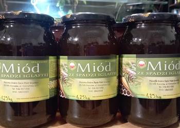 Miód spadziowy iglasty 1.25 kg - 70 zł