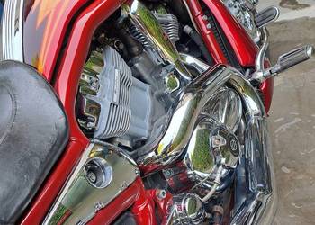 HARLEJ DAVIDSON V-ROD VRSCSE