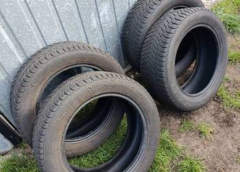 Komplet opon zimowych Dębica Frigo 2 205/55/16 2021 rok