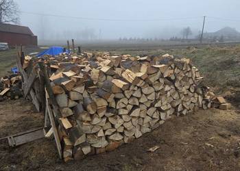 Drewno opałowe grab brzoza osika