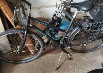 Rower Kettler Alu-Rad