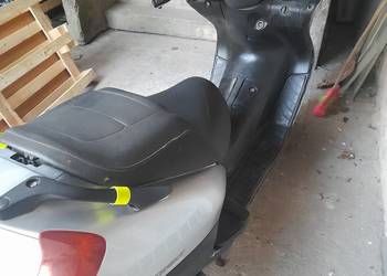 Honda foresight 250