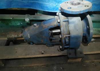 Pompa pionowa Rheinhütte RWSE 40-160 C11 – stal nierdzewna 1.4408 / AISI 31