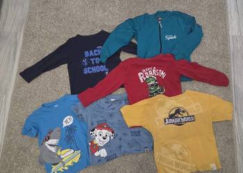 Zestaw ubrań dla chłopca 110/116