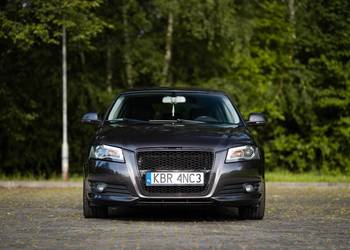 Audi A3 8P 2.0 TDI
