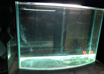 Akwarium panoramiczne 80 cm, pokrywa , oświetlenie 140L wysokie