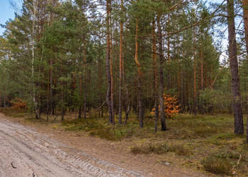 Działka 8929 metrów Majdan Kasztelański
