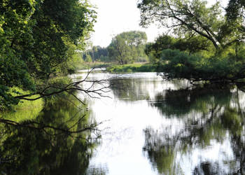 Działka nad rzeką Liswartą | Troniny | możliwość wydzielenia ok. 4000 m² |…