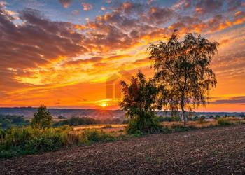 Działka Ropczyce Śródmieście 2361m2