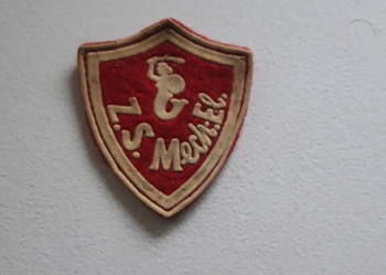 Tarcza szkolna, Warszawa