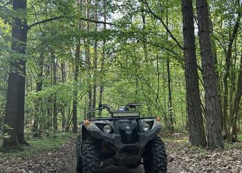 Yamaha Grizzly 450|4x4| EPS