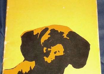 Historia Petita - Zbigniew Kwiatkowski