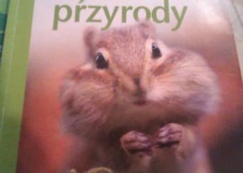 Tajemnice przyrody 4 podręcznik aukcje antykwaryczne