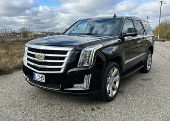 Cadillac Escalade 6.2 Luksusowy SUV IV (2015-)