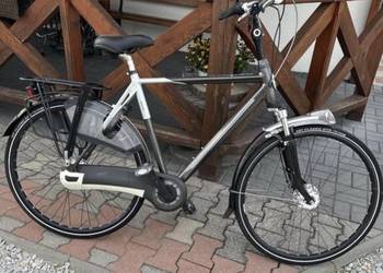 Rower gazelle eclipse