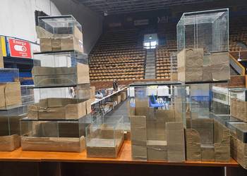 Terarium szklane różne wymiary
