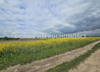 Działka 67765m2 Stefanów