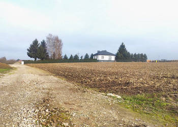 Działka 5000 metrów Miłocin