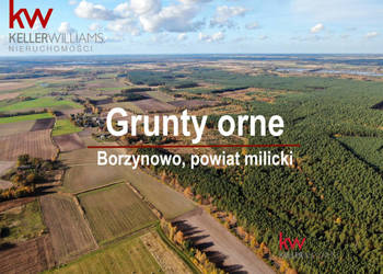 Działka 64170m2 Borzynowo